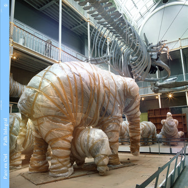 Path Integral [Vinyl] (ONLINE ORDER ONLY)