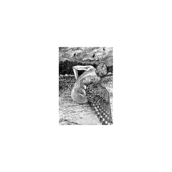 Patrick Lysaght - For The Birds [LP] [Vinyl]
