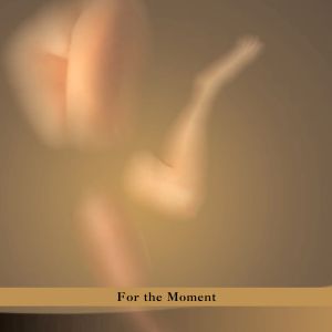 For The Moment [CD]