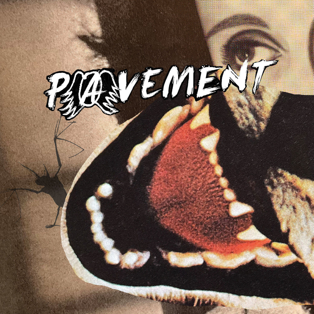 Hecklers Choice: Big Gums And Heavy Lifters - A Pavement Collection [Vinyl]