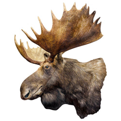 Moose 100 Piece Shaped Jigsaw Puzzle (ONLINE ORDER ONLY)
