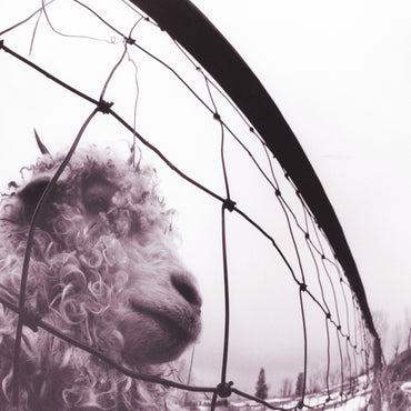 Pearl Jam - Vs. (30th Anniversary Edition) [Vinyl] (ONLINE ORDER ONLY)