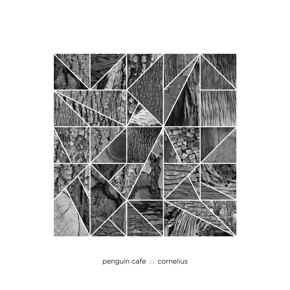 Penguin Cafe & Cornelius - Umbrella EP [Vinyl] (ONLINE ORDER ONLY)