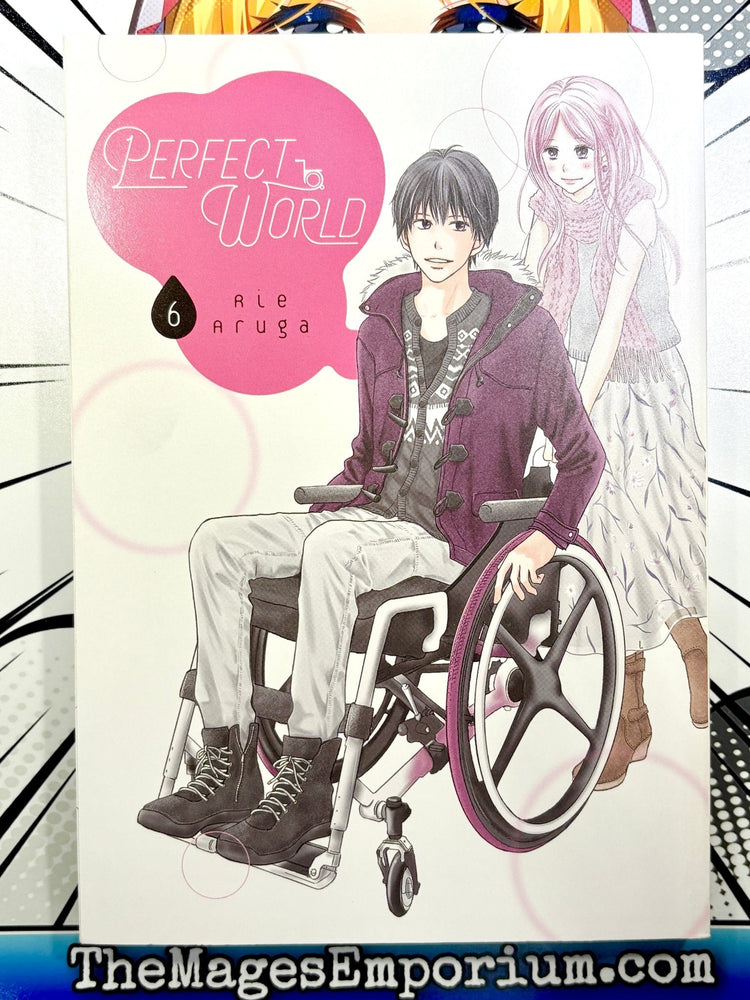 Perfect World Vol 6 (Online Order Only)