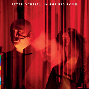 In The Big Room (180G Black Vinyl) [2LP] [Vinyl] (ONLINE ORDER ONLY)