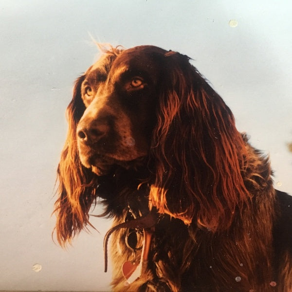 PETER KERNEL - The Size Of The Night [Vinyl] (ONLINE ORDER ONLY)