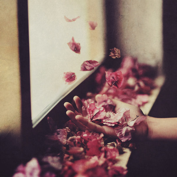 petre Inspirescu - Vintul Prin Salcii [Vinyl] (ONLINE ORDER ONLY)