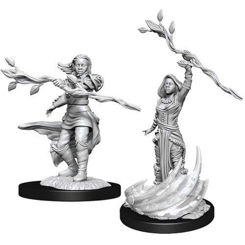 D&D Nolzur's Marvelous Miniatures: Human Druid Female (Online Order Only)
