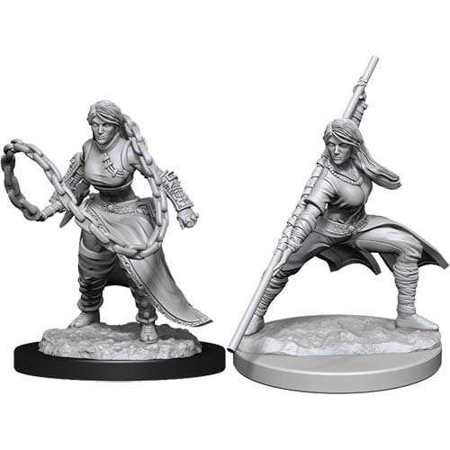 D&D Nolzur's Marvelous Miniatures: Human Monk Female (Online Order Only)