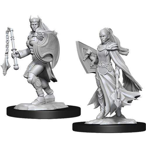 Nolzur's Marvelous Miniatures: Kalashtar Cleric Female (Online Order Only)