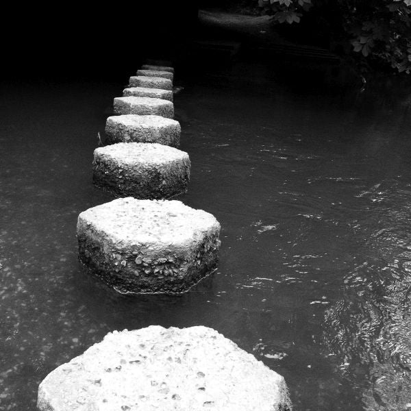 Phelan Sheppard - Harps Old Master [CD] (ONLINE ORDER ONLY)