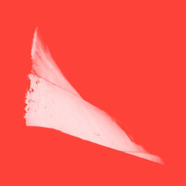 G2,44+/X2 [CD] (ONLINE ORDER ONLY)