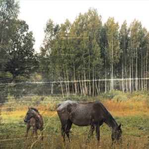 Old Pride [CD] (ONLINE ORDER ONLY)