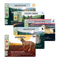 Animal Rescue Team (ONLINE ORDER ONLY)