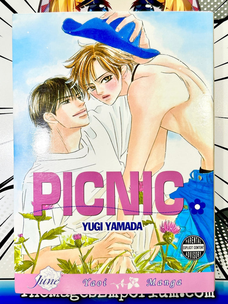 Picnic (Online Order Only)