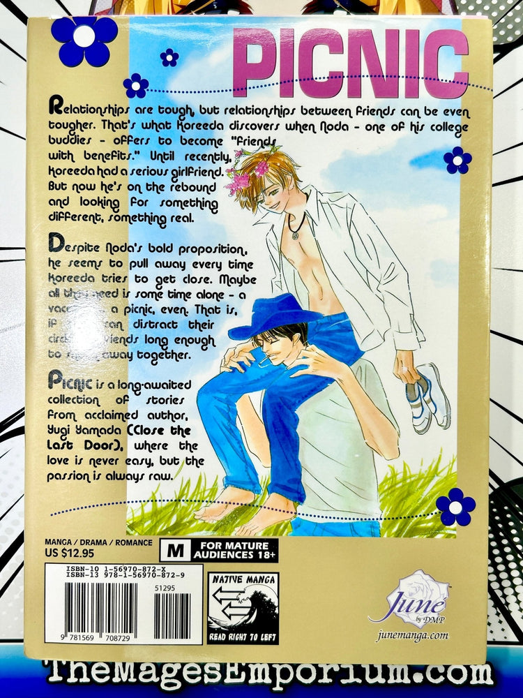 Picnic (Online Order Only)