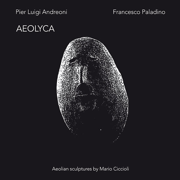 PIER LUIGI ANDREONI/FRANCESCO PALADINO - Aeolyca [Vinyl]