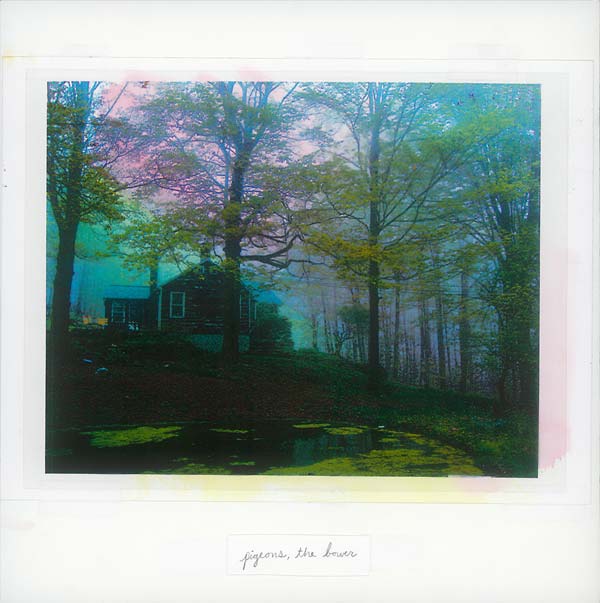 The Bower [Vinyl]