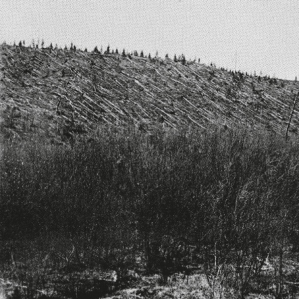 PINA - Larm [Vinyl] (ONLINE ORDER ONLY)