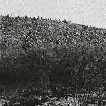 PINA - Larm [Vinyl] (ONLINE ORDER ONLY)