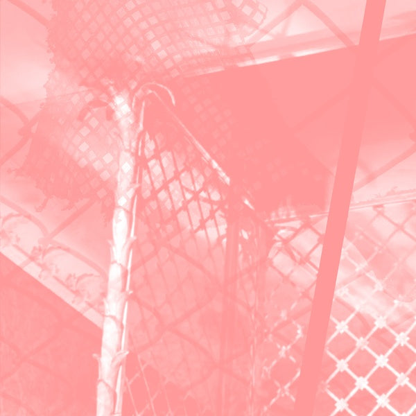 PINKCOURTESYPHONE - All Intensive Purposes [CD] (ONLINE ORDER ONLY)