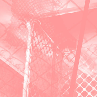 PINKCOURTESYPHONE - All Intensive Purposes [CD] (ONLINE ORDER ONLY)