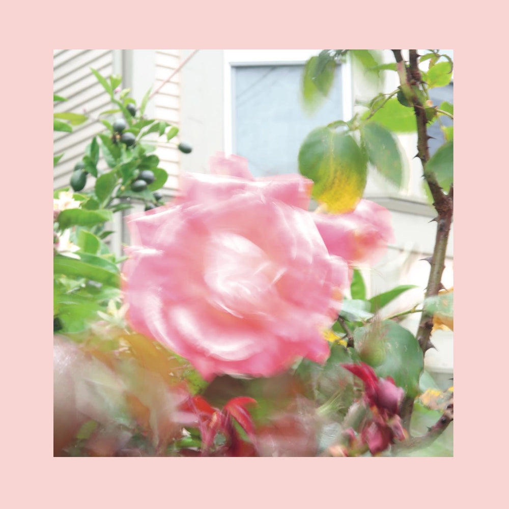 Pinks & Purples Reds - Summer At Land's End (GREEN VINYL) [Vinyl] (ONLINE ORDER ONLY)