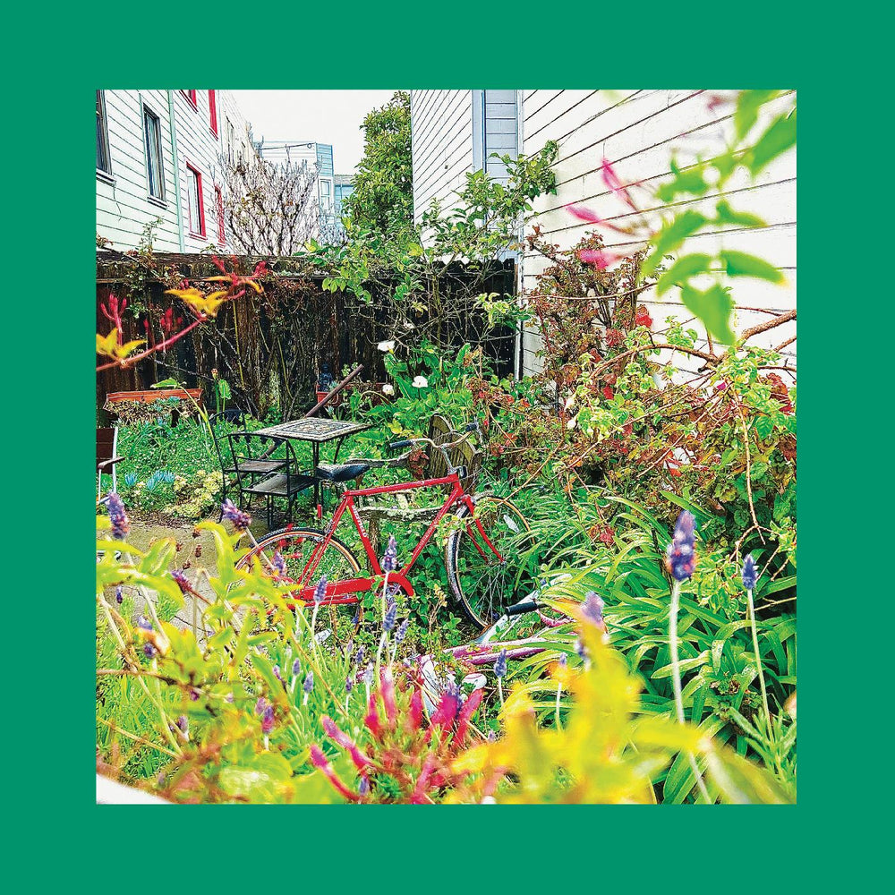 Unwishing Well (NASTURTIUM ORANGE VINYL) [Vinyl]