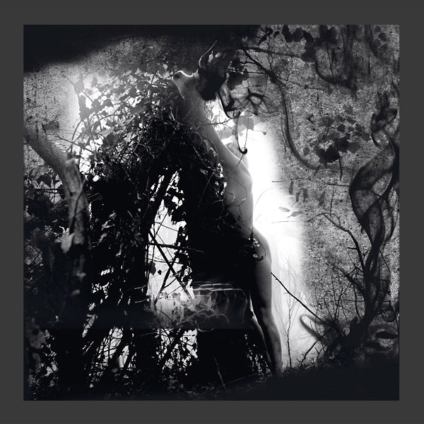 PISETZKY - Tears Of A Rough Machine [Vinyl]