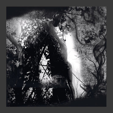 PISETZKY - Tears Of A Rough Machine [Vinyl]