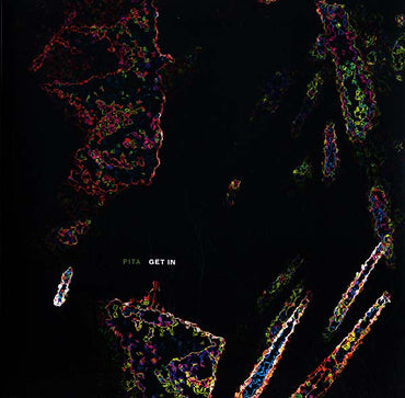 PITA - Get In [Vinyl] (ONLINE ORDER ONLY)