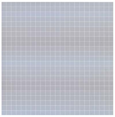 PITRELEH - Pitreleh [Vinyl]