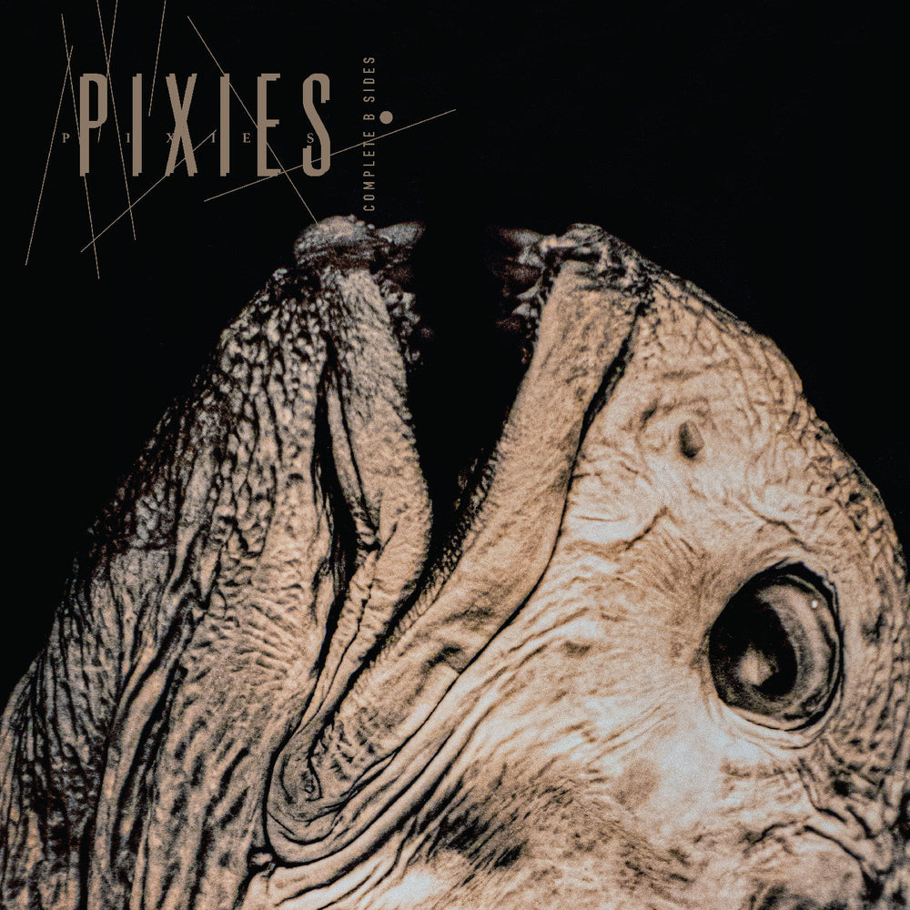 Pixies - Complete B Sides: 1988-97 [Vinyl]