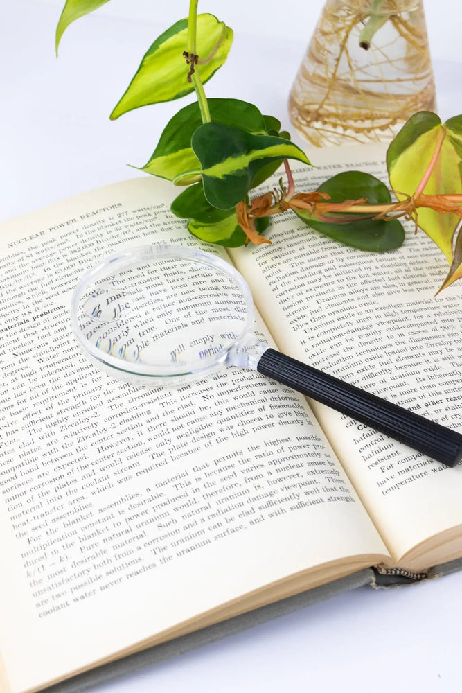 Plastic Magnifying Lens (ONLINE ORDER ONLY)