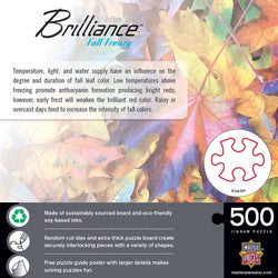 Brilliance - Fall Frenzy 500 Piece Jigsaw Puzzle (ONLINE ORDER ONLY)