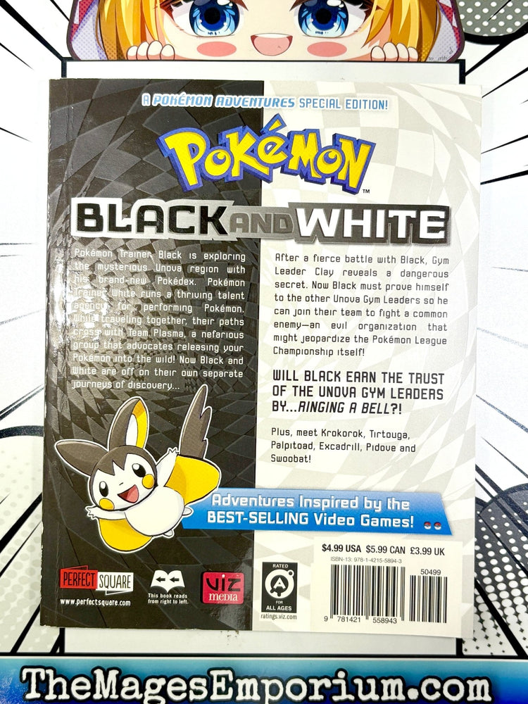Pokemon Black and White Vol 10 (Online Order Only)