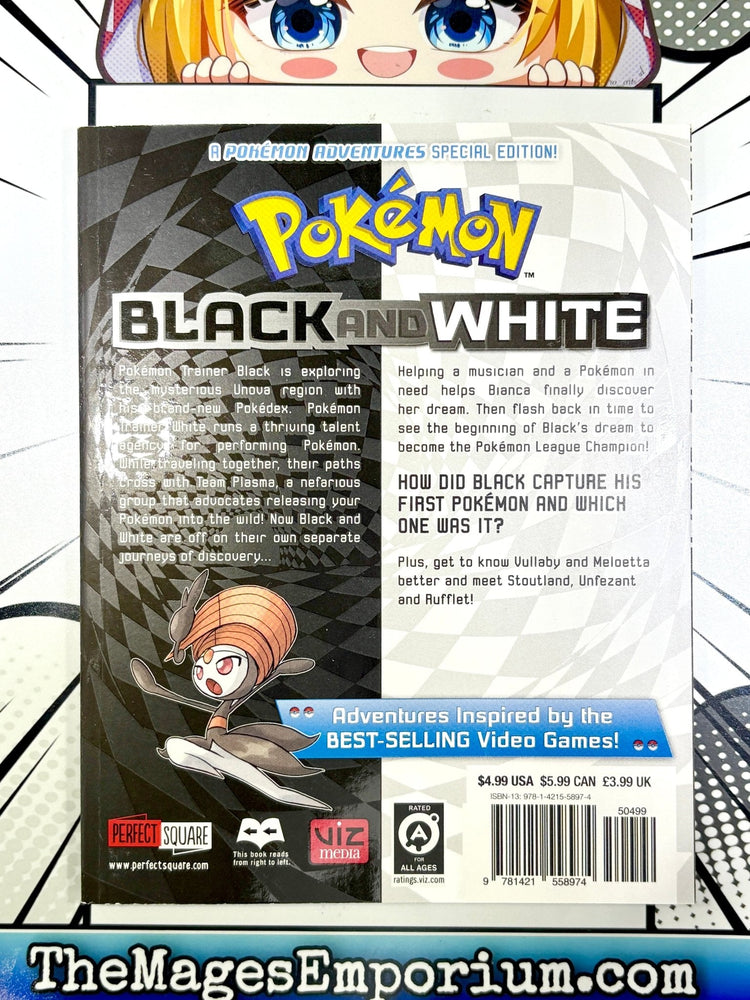 Pokemon Black and White Vol 13 (Online Order Only)