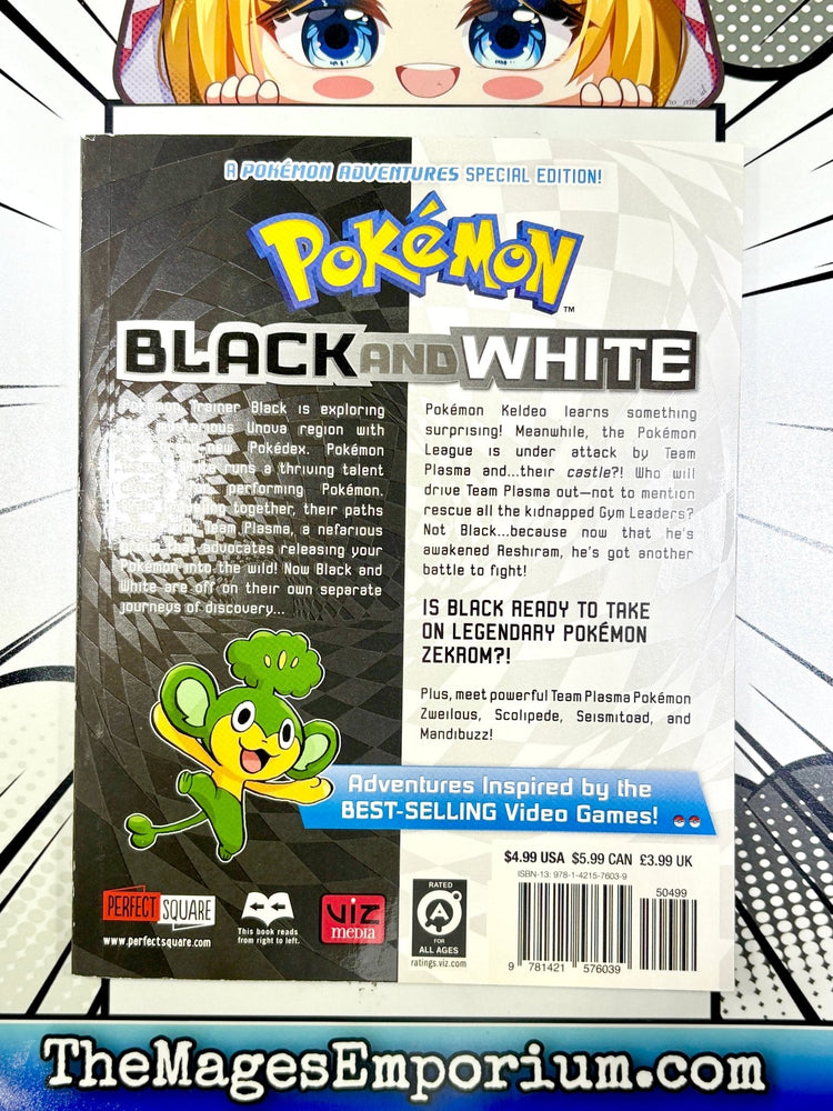 Pokemon Black and White Vol 19 (Online Order Only)