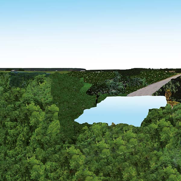 POLLOT - Pollot [CD] (ONLINE ORDER ONLY)