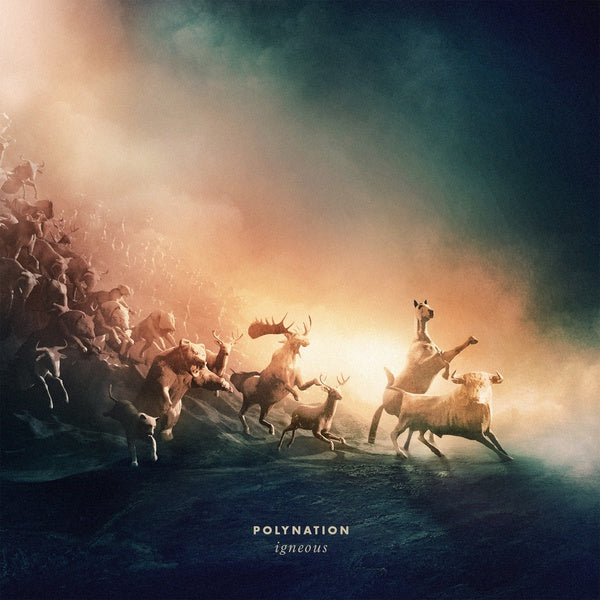 POLYNATION - Igneous [Vinyl] (ONLINE ORDER ONLY)