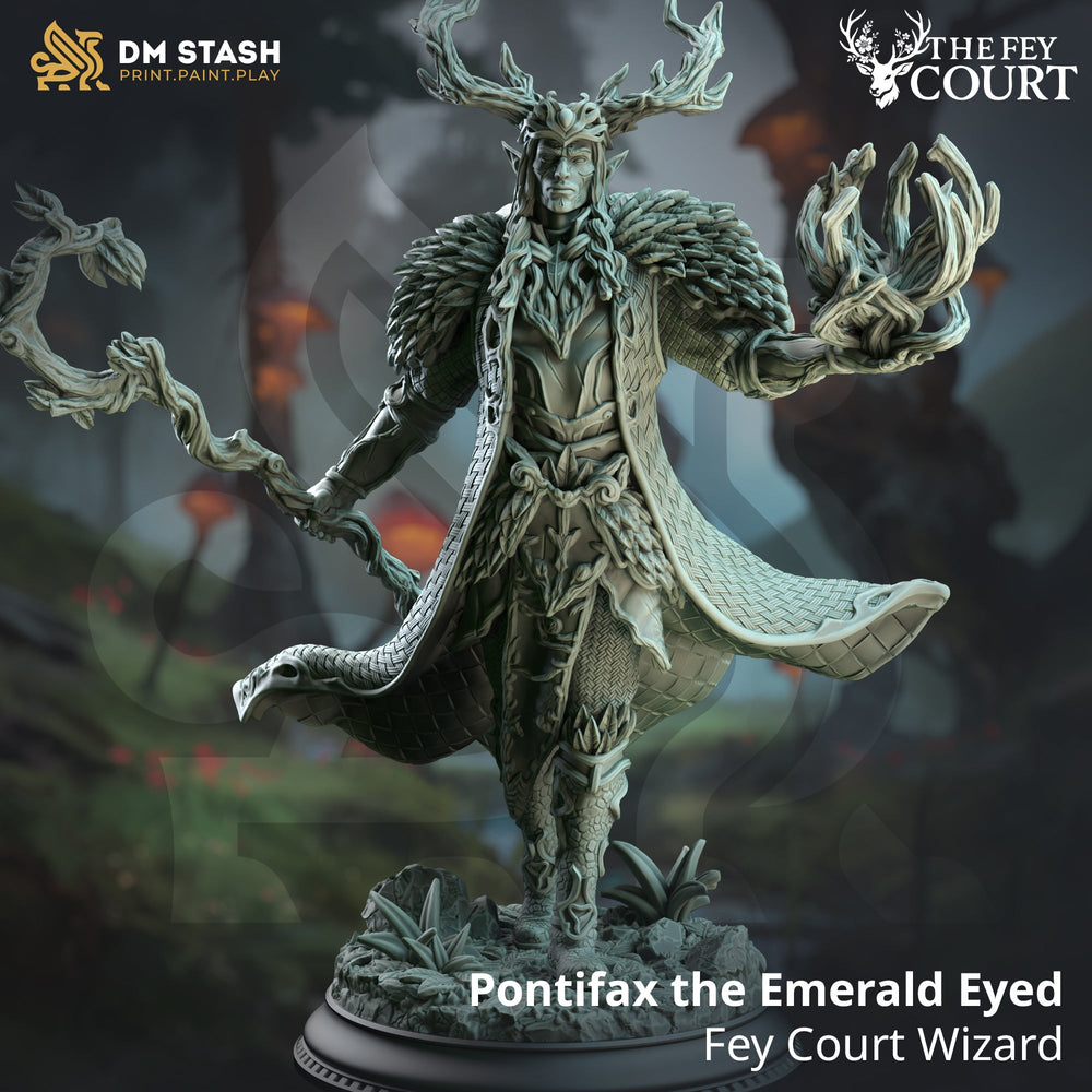Pontifax the Emerald Eyed (Male Fey Elf Wizard) (Online Order Only)