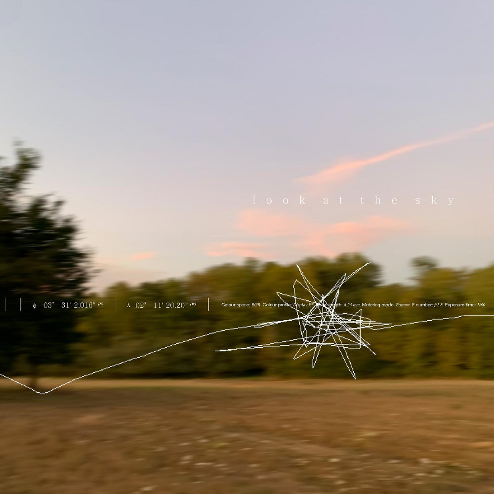 Look At The Sky (Indie Exclusive) [Vinyl] (ONLINE ORDER ONLY)