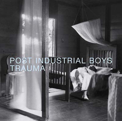 Post Industrial Trauma [CD]