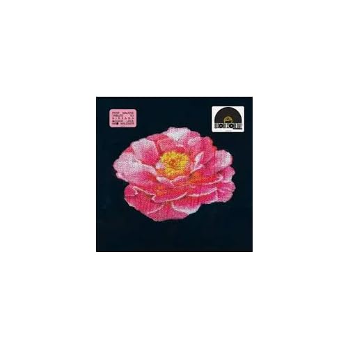 Post Malone Tribute To Nirvana (Rsd 4.12.25) [Vinyl] (ONLINE ORDER ONLY)