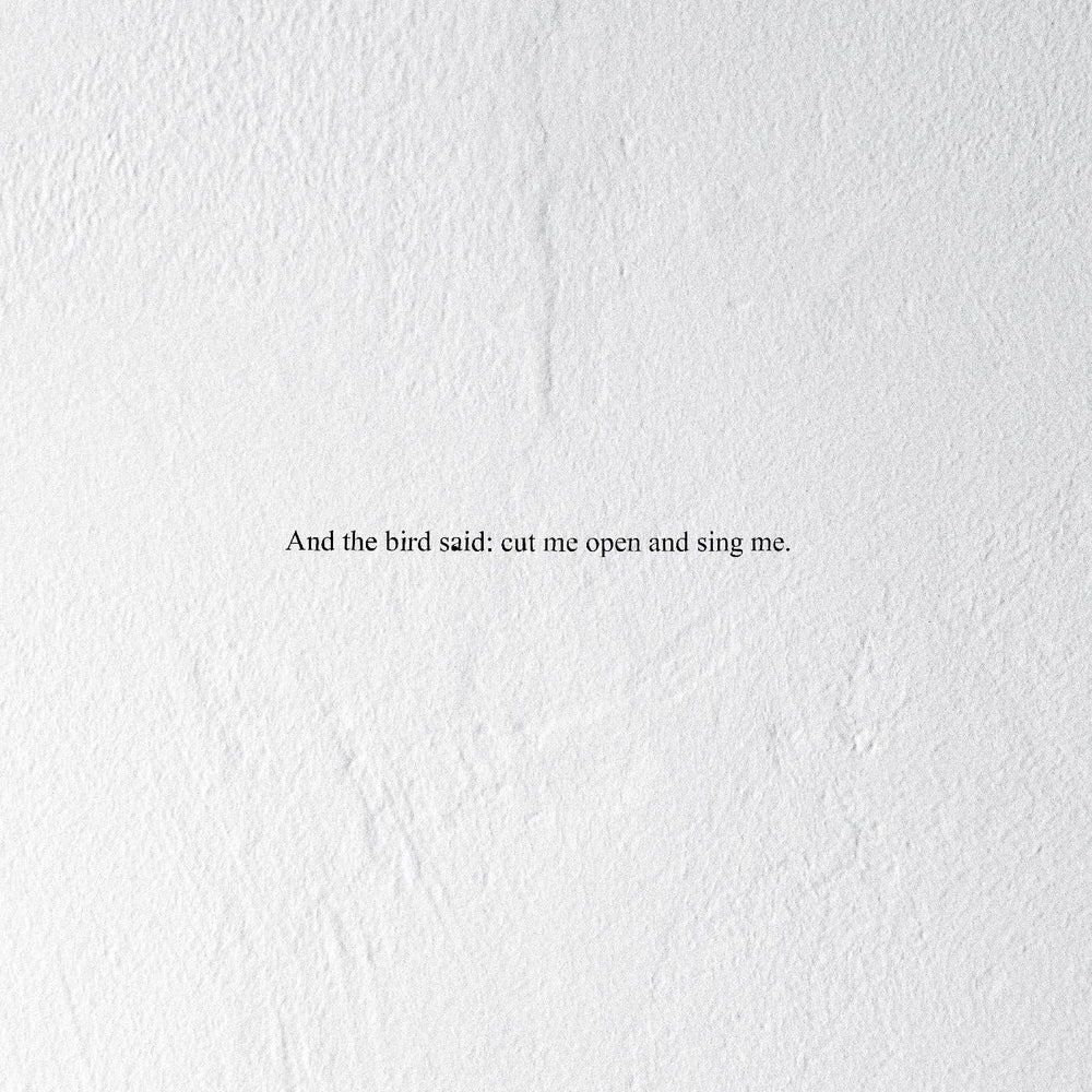 And the Bird Said: Cut Me Open and Sing Me [CD]