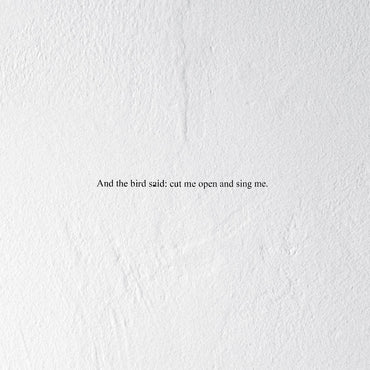 And the Bird Said: Cut Me Open and Sing Me [CD]