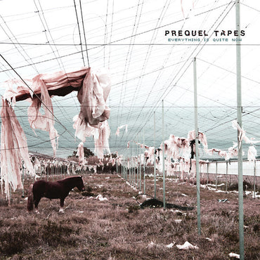 Prequel Tapes - Everything Is Quite Now [Vinyl] (ONLINE ORDER ONLY)