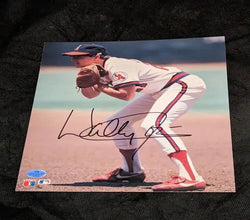 Wally Joyner autographed 8x10 photo with coa (Online Order Only)