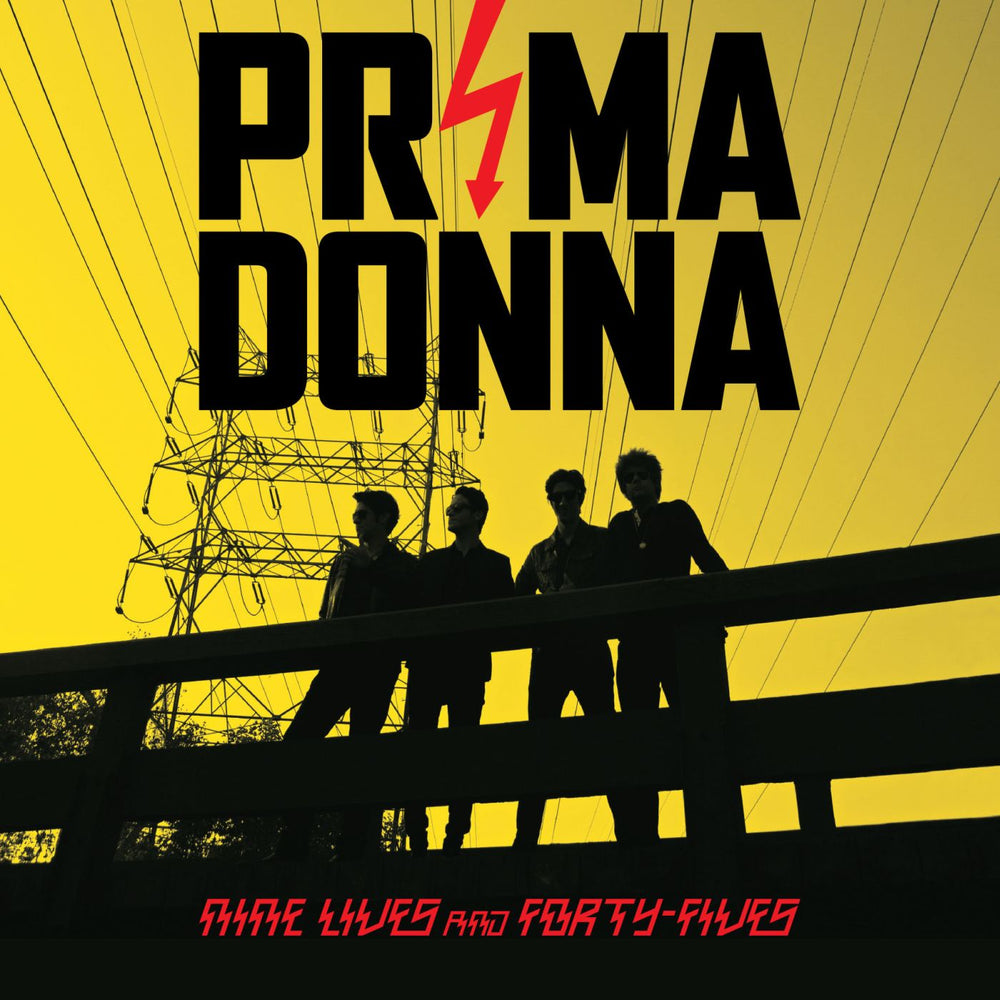 Nine Lives and Forty Fives [Vinyl] (ONLINE ORDER ONLY)