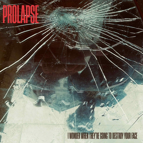 I Wonder When They'Re Going To Destroy Your Face [Lp] [Vinyl] (ONLINE ORDER ONLY)